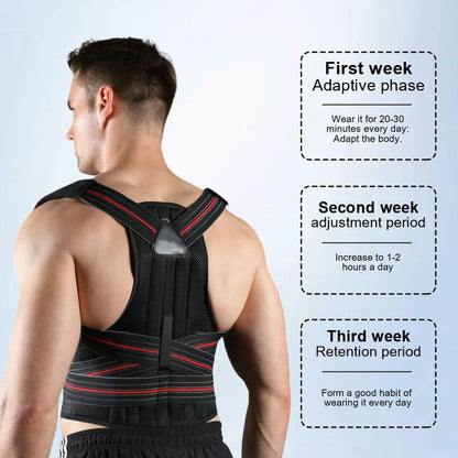 Posture Corrector for Women and Men Adjustable Back Brace Posture Corrector for Back Pain Relief - Scoliosis, Hunchback, Spine Corrector Large(Waistline 33.5In-37.4In)